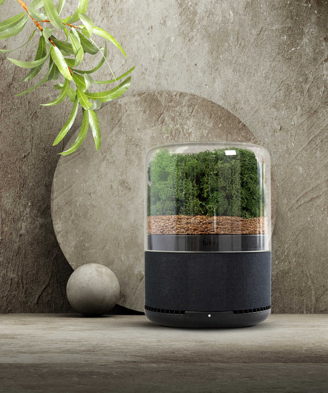 A Briiv Air Purifier