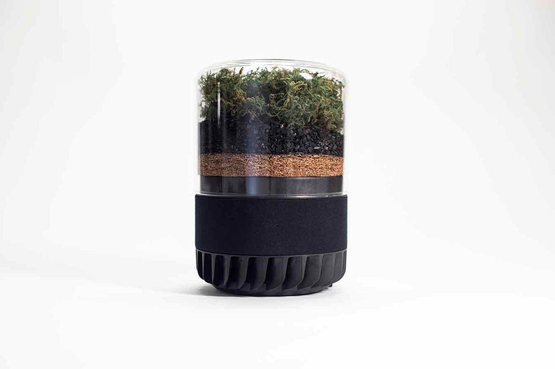 Briiv Pro with combined filters of carbon and moss