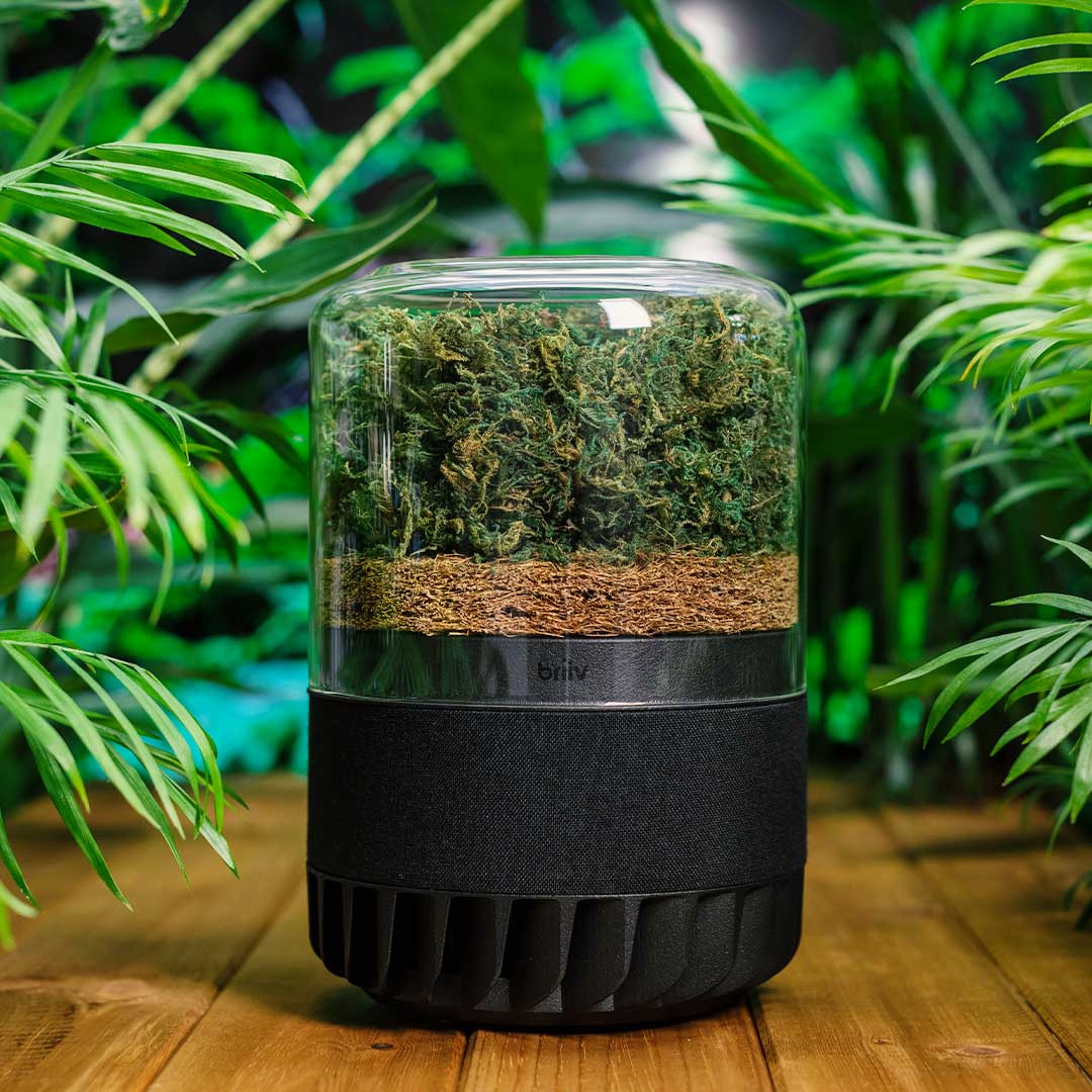 Briiv Pro on a wooden table surrounded by plants