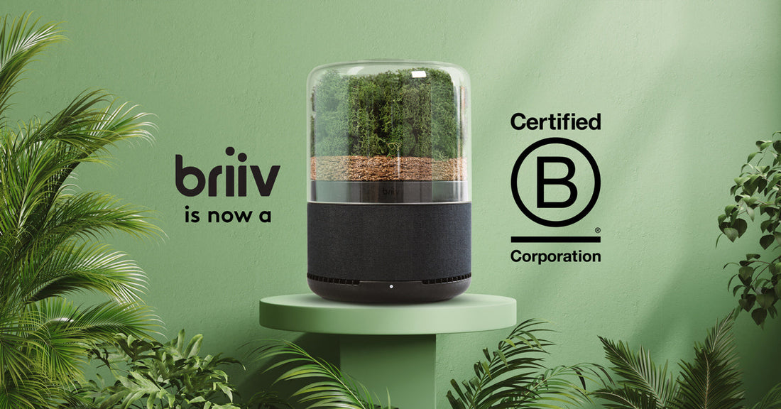 Briiv on a pedestal next to the B Corp logo