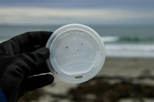 Coffee cup lid found on a beach clean up