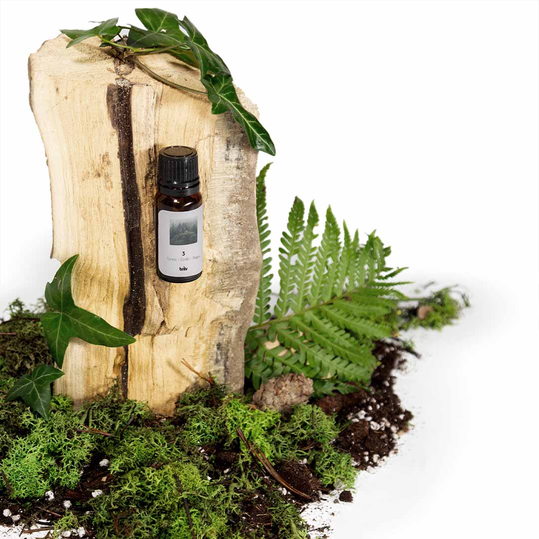 Briiv Fragrance on a mossy log surrounded by ferns 